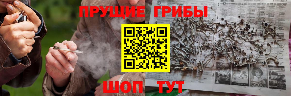Михайловка  Галлюциногенные грибы GOLDEN TEACHER  Вход с VPN 
